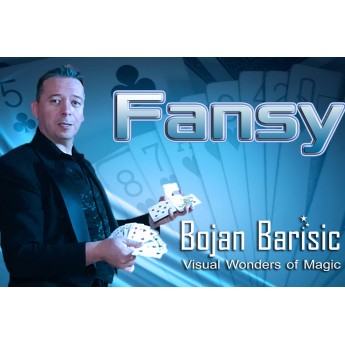 Fansy by Bojan Barisic
