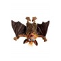 La chauve souris  Tamika BM -W653