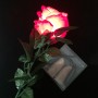 ROSE LUMINEUSE + FP LUMINEUX RECHARGEABLE (Rouge)