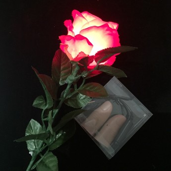 ROSE LUMINEUSE + FP LUMINEUX RECHARGEABLE (Rouge)
