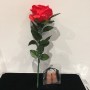 ROSE LUMINEUSE + FP LUMINEUX RECHARGEABLE (Rouge)
