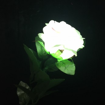 ROSE LUMINEUSE + FP LUMINEUX RECHARGEABLE (Rouge)