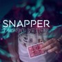 Snapper by Laurent Villiger