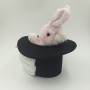 LAPIN EN CHAPEAU