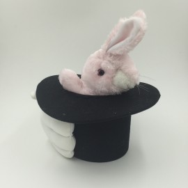 LAPIN EN CHAPEAU
