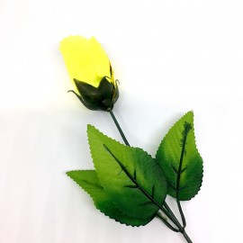 ROSE À CHANGEMENT DE COULEUR