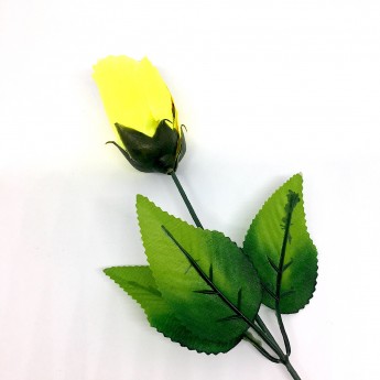 ROSE À CHANGEMENT DE COULEUR