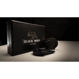 Blackbird - Jeff COPELAND