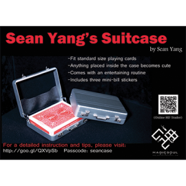 Valise by Sean Yang and Magic Soul
