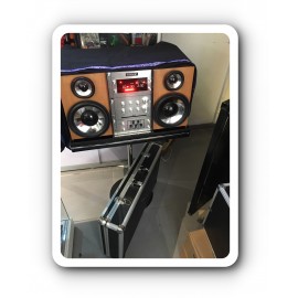 VANISHING RADIO /RADIO A DISPARITION