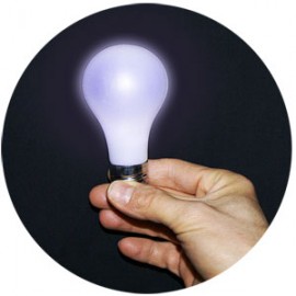 Magic bulb