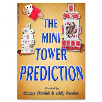 The Mini Tower Prediction