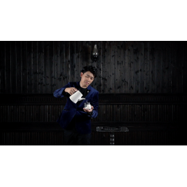 Snowflake - The snowstorm