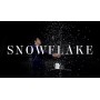Snowflake - The snowstorm