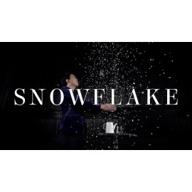 Snowflake - The snowstorm