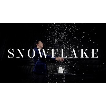 Snowflake - The snowstorm