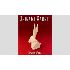 Origami Rabbit by Alan Wong