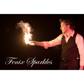 FENIX SPARKLES NORMAL EDITION