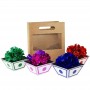Appearing Flower Pots from Bag