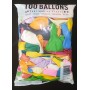 BALLONS MULTICOLORS 25 CM
