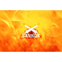 Cannon - The Flasher by ZF Magic & MS Magic