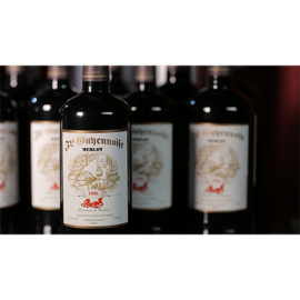 Multiplying Bottles (10 ct. High Gloss)