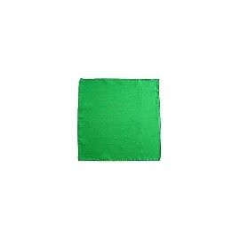 FOULARD EN SOIS 15 CM VERT